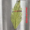 5 pcs secado planta natural sago ramo de cycas, fruticose dracaena folha seca palm fãs palm fan, parede de arte de festa pendurado, decoração de casamento 210624