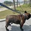 Köpek koşum takımı taslakları ayarlanabilir nefes alabilen evcil hayvan yeleği naylon tasarımcı mektup açık hava koşu eğitim kolye ipi yaka2736