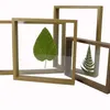 Nordic Style Gedroogde Bloem Bladeren DIY Gedrukte Plant Fotolijsten Dubbelzijdig Glas Houten Frame Woondecoratie Wall Art 1PC1 978 R2