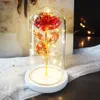 Valentine Gift Beauty Eternal Rose Eternal LED Light Beauty and Beast Rose In Glass Dome Birthday Present For Valentine's Day Q0338Z