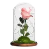 Party Favorit Rose Flower Led Lätta Konstgjorda Blommor I Glas Dome Jul Valentine Gift för Flickor