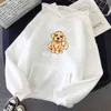 Sweater Gold biz köpek sevimli kapüşonlu erkek gevşek polar sweatshirtler sonbahar basit kapüşonlu rahat erkek sokak giysileri9476675