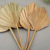 1pcs Palm Fan Floa foglia secchi Fiore Finestra Finestra Partito Art Parete Appeso Decorazione Arco di nozze Arco Disposizione decorativa Fiori Fiori Ghirlande