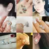 Luxury Stud Earrings 100 925 Silver Crystal Zircon Wedding Earring for Women Women Brincos Oorbellen E0058768206