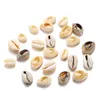 50Pcslot Natural Small Sea Conch Shape Shell Diy Jewelry Finding Accessories Supplies Seashell Necklace Bracelet Wmtuje T8Kyw Bead 2085 V2