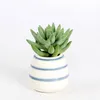 NUOVODecorativo Moda Succulente Fioriere Desktop Home Ceramica dipinta a mano Vaso da fiori Rotondo Carnoso Creativo Vasi da fiori nave marittima EWB7938