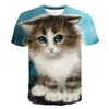 Мужские футболки мультфильм животных печать футболки Смешные Hip-Hop Starry Sky Tiger 3D печать Harajuku стиль O-образным вырезом Сыпучие Удобный плюс размер Top