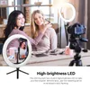 10"Ring Light LED Desktop Selfie USB LEDs Desk Camera Ringlights 3 Colors Lighting with Tripod Stand Cell Phone Holder and for Photography Makeup Live Streaming