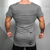 MuscleGuys Yeni Yaz T Gömlek Erkekler Yırtık Delik T-Shirt Erkekler Kare Boyun Slim Fit Tees Fitness erkek Hip Hop Uzatın tshirt 210421