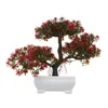 Ghirlande di fiori decorativi Piante artificiali finte Albero Bonsai Pianta in vaso Decorazioni per la casa Decorazione Bacino in resina Simulazione di plastica6400553