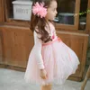 Child Girls Autumn Tutu Dress Child Princess Party Prom Dress Kids Lovely Wedding Clothing For Baby Kids, Pink/ White/ Green Q0716