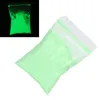 1bag Néon Phosphore Plombe Powder Luminous Nail Art décorations fluorescentes Pigment Glow Pigment Gel Gel Polish Design14303049