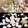 Décorations de jardin Accueil Mixte 100g Aquarium Beach Sea Shell Craft Coffre-teintes Décor Prix Factory Expert Design Qualité Dernière Style Statut d'origine