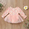 Crianças Roupas Meninas Ruffle Manga Floral Daisy Dress Infantil Lace Rede Fio Crisântemo Princesa Vestidos Verão Primavera Outono Moda Boutique Baby Roupa