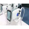 Portable EMS Mésothérapie sans aiguille avec radiofréquence RF Électroporation faciale Nanomètre Nano Meso Gun Beauty Machine pour le rajeunissement de la peau Blanchissant Levage