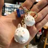 Keychains Key ring Abstract cartoon animal frog rabbit dog resin doll, key children lovers favorite gift backpack pendant car