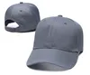 10pcs Summer Man Hat Canvas Baseball Cap Spring and Fall Hats Ochrona przeciwsłoneczna Woman C AP Woman Outdoor Ball Caps 5colors8159430