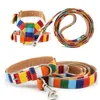 Fashion Rainbow Stripes Dog Collars Riemen Harnassen Set Verstelbare Duurzame Kleuren Geschikt voor Kleine Medium Groot Honden Size Extra S 8 "tot 12" Long