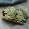 Натуральные сушеные гинкго билоба листья чай китайский чай гинкго, зеленые зеленые листья подарок свадебные украшения 210624