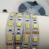 Strips LED Strip Licht CCT 5025 Dual Wit Warm 2 in 1 Chip 60/120leds DC12V/24V Tape Kleur Tem Ajustable Stripled Stripled Striped Striple