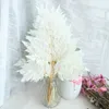 10pcs/lot,Natural Fresh Preserved Fiddlehead Ferns,Eternal Soft Pole Flower Leaves for Wedding Party Home Decoration Accessories 210624