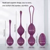 Nxy Vibrateurs Sex 10 Vitesse Kegel Ball Télécommande Exercice Vaginal Serré Vibrant Oeuf Stimulateur Massage Ben Wa Geisha Balls Jouet pour Femme 1220