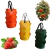 Fioriere Vasi Forniture da giardino Piantagione di fragole Borsa in crescita Borse per contenitori multi-bocca Borsa per fioriera sospesa in tessuto resistente per bonsai Pl