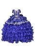 2023ロイヤルブルーホース刺繍Quinceaneraドレスプラスサイズのボールガウンは、ショーアーオーガンザフリルパーティースイート16ドレス15ガールズ
