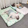 cama perro verano