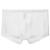 Underbyxor män sexiga underkläder nylon sömlös is silk ultratunna trosor se genom mesh boxer transparenta shorts299s