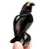装飾的なオブジェクトの置物1.96インチ2.36インチ高さ天然黒黒鳥鳥ペットクリスタルヒーリングレイキ