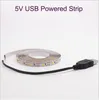 5V USB LED şerit ışığı 1m 2m 3m 4m 5m Sıcak Beyaz RGB 2835 TV Arka Plan Aydınlatma Dekoracion Peri Işıkları 3 Key Control3085