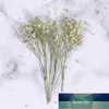 3 cachos artificiais flor permanente flores secas babys respiração buquê romântico vaso decoração ar arranjo de flores suprimentos
