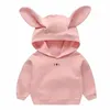 Kinderkleding Herfst Jongen Trui Pullover Girl Bottoming Shirt Hooded Top Baby Cartoon 210515