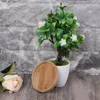 Bambu Square Bamboo Plates Flower Stand Round Bowls For Succulents Pots Trays Base Stander Garden Decor Plant Planters &