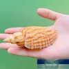 Naturlig majs conch eremit krabba ersättning skal akvarium landskap dekoration mediterranean stil po rekvisita nyhet objekt fabrikspris expert design kvalitet