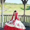 Robe de bal broderie fleur enfants robe de princesse robe de concours de beauté gonflée fleur fille robe d'anniversaire Pographie Dresses8916457