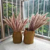 Vera pampa erba coda di coniglio mazzo piante naturali canna decorazioni per la casa fiori secchi Phragmites decorazione ornamentale della festa nuziale 210706