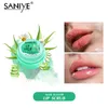 Sanye Hidratante Lábios Bálsamba Morango Aloe Favores Natural Gentil Hydrating Lip Care Balm Scrub Para Homens Mulheres