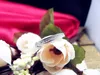 Top-Qualität 925 Solid Silber Hochzeitsfeier Fingerringe für Frauen Modemarke Kristall Zirkon Vintage Juwely J-012250s