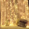 2×2/3×3/6×3 LEDの不明な妖精のひもライトのクリスマスLEDガーランド結婚式のパーティーライトリモートコントロールカーテンガーデンパティオの装飾211015