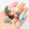 Comma Shape Natural Stone Charms Agates Crystal Turquoises Jades Opal Stones Pendant för smycken Göra halsband Armband 15x22mm