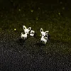 Stud Arrivée Chihuahua Boucles D'oreilles En Acier Inoxydable Pour Femmes Mignon Chien Goujons Bijoux Animal De Compagnie