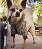 Vêtements de chien de compagnie classique modèle extérieur mode réglable harnais pour animaux de compagnie manteau mignon Teddy sweats à capuche costume petit collier de chien Accessor275S