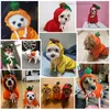 Dog Odzież Cute Owoce Ubrania Dla Małe Średnie Pies Zima Jesień Ciepły Pet Kot Z Kapturem Płaszcz Psy Chihuahua Szczeniak Kostium Soft Kurtka XS-XXL 15 Kolor Hurtownie A207