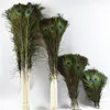 エレガントな装飾的な素材本物の天然孔雀の羽美しい羽約70から80 cm