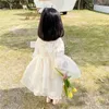 Spring Arrival Girls Long Sleeve Princess 2 Peices Suit Dress+veil Dresses Kids Clothing 210528