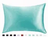 2026inch Silk Satin Pillowcase 12 Colors Ice Silk Skinfriendly Pillowslip Zipper Cover Double Face Envelope Bedding Pillow Case 6207957