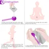 Nxy Sex Eggs Kegel Ballen Vaginale Spier Uitoefenaar Machine Chinese Seksspeeltjes Voor Vrouwen Sextoyse Vrouwelijke Stimolatore del clitoride Geisha 1215