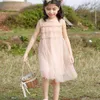 Dziewczyna Sukienki Mesh Cute Dress Girls Tulle Princess Sukienka Dla Dzieci Dzieci Koronki Ubrania 2-8y Q0716
